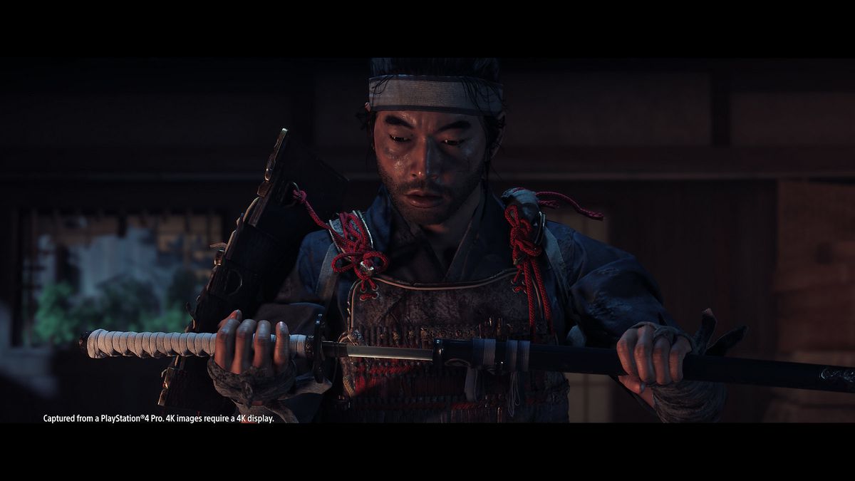 The ghost of Tsushima 