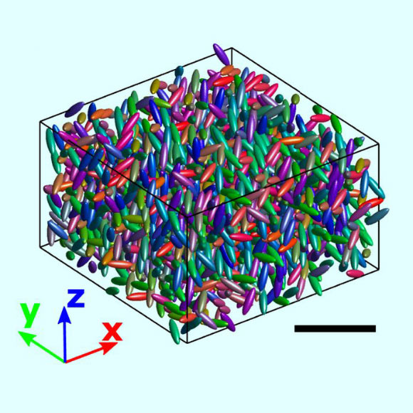 The computer provided a 3D reconstruction of a subset of the sample size with the value of red, green, and blue indicating the orientations of the particles.  Scale bar - 20 μm.  Image credit: Roller et al., Doi: 10.1073 / pnas.2018072118.