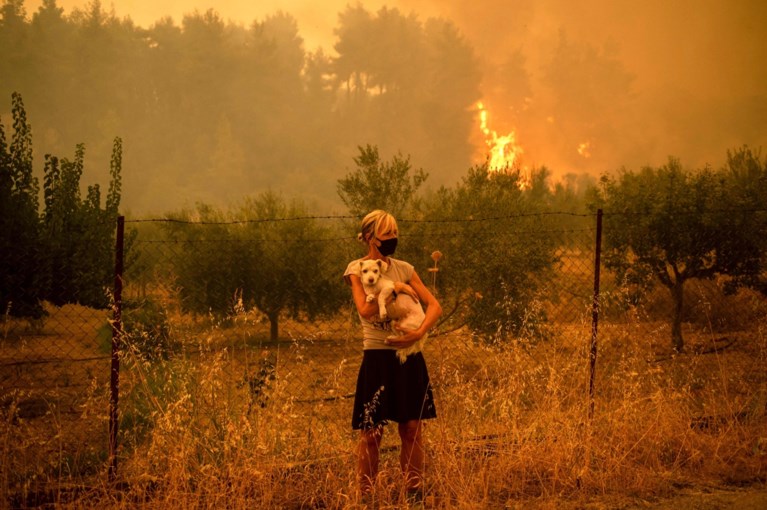 2,000 people evacuated from the Greek region of Evia: forest fires removed 50,000 hectares of ash