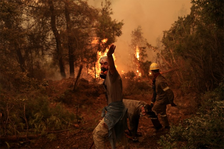 2,000 people evacuated from the Greek region of Evia: forest fires removed 50,000 hectares of ash
