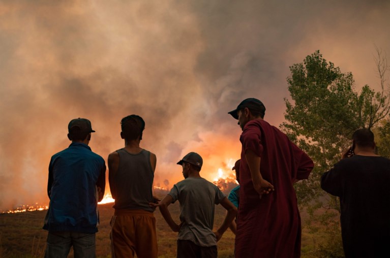 Forest fires are now ravaging southern France and Morocco