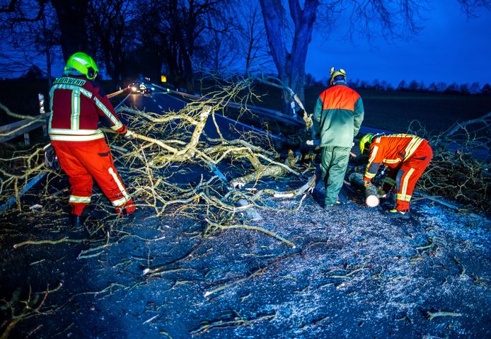 German firefighters remove a fallen tree from the road.