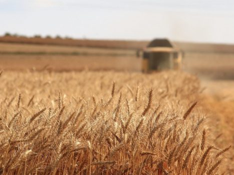 Lithuania wants a "coalition of the willing" to export Ukrainian grain