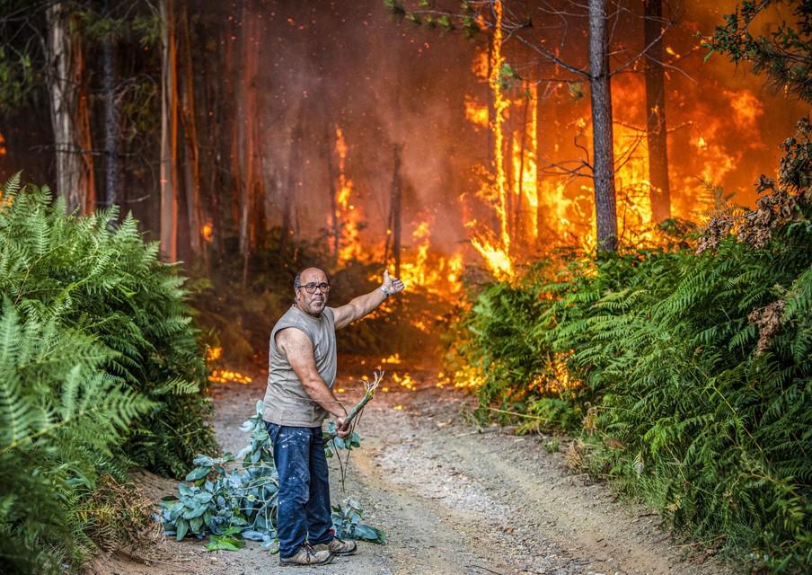 A man tries to fight a branch fire in central Portugal. 