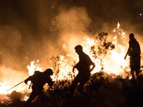 Forest fires ravage Greece near Dutch King Willem-Alexander's holiday villa |  Instagram news VTM