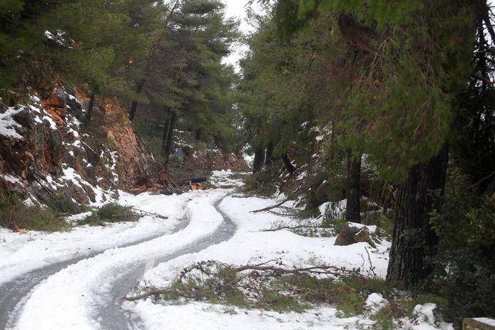 The sunny holiday paradise of Mallorca is now pristine white.