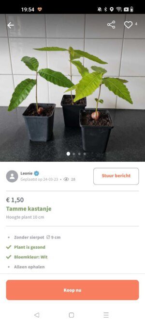 Plantigo app for buying houseplants