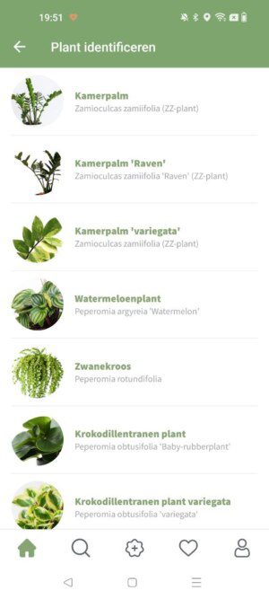 The Plantego app identifies the plant
