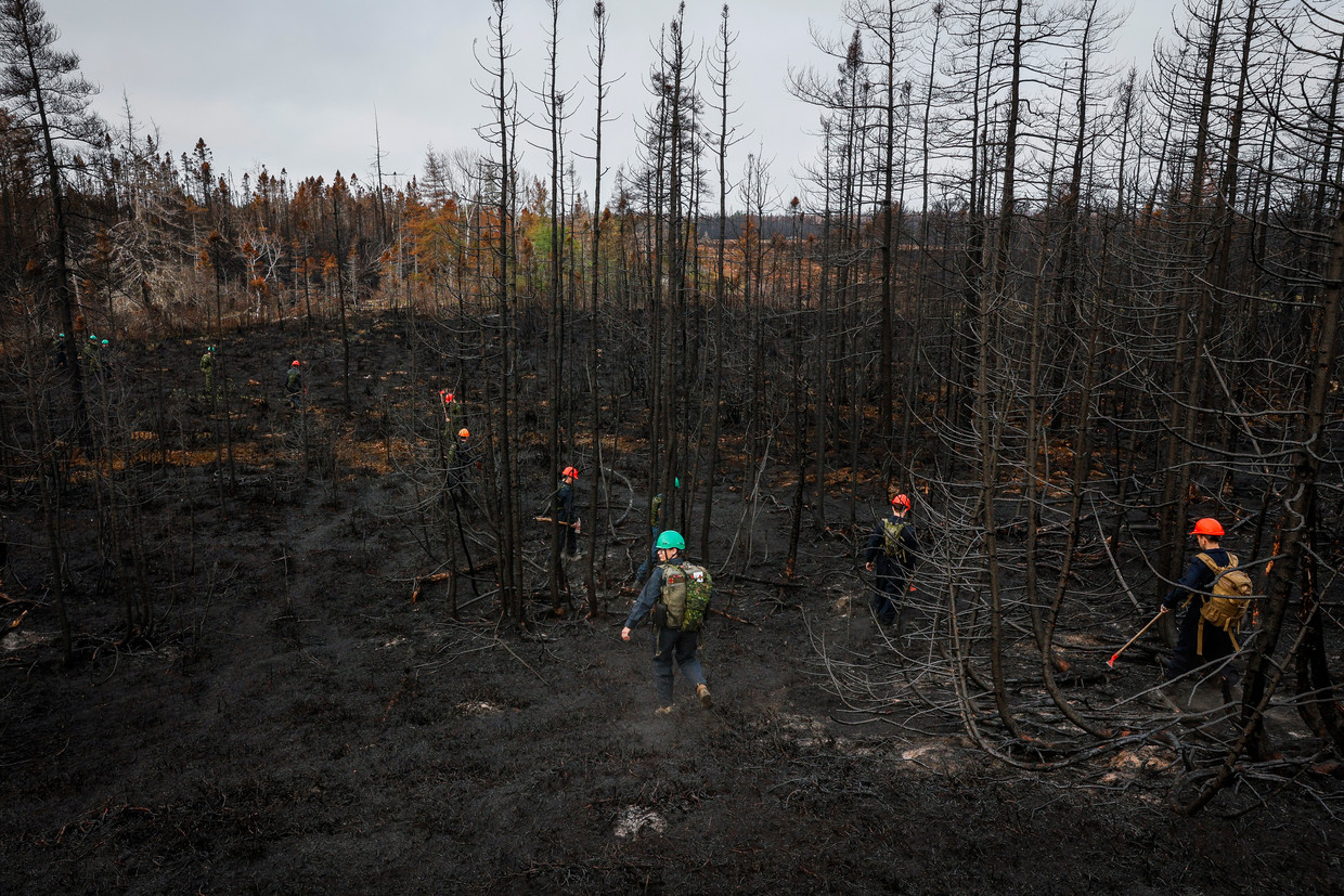 Burnt forests in Canada.  It has already caught fire in an area the size of Belgium.  Image Boston Globe via Getty Images