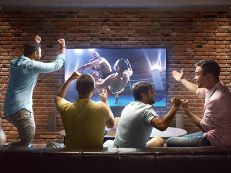 Do you like martial arts or Formula 1?  These specific sports packages are available and this is what you pay for with this TV subscription technology