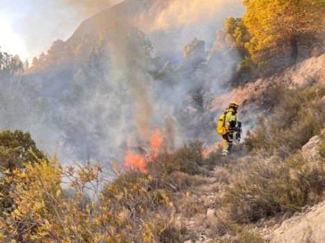 Police arrested the perpetrators of a forest fire on the Costa Blanca