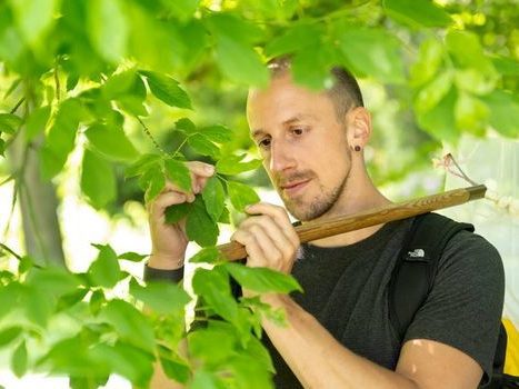 Nature Today | Experts: Come to Barcoding NL