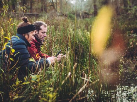 Why citizen science is here to stay